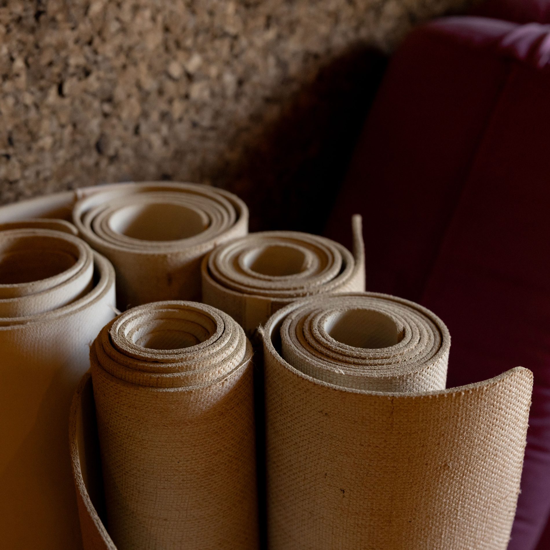Somatic Movement & Yin Yoga Workshop