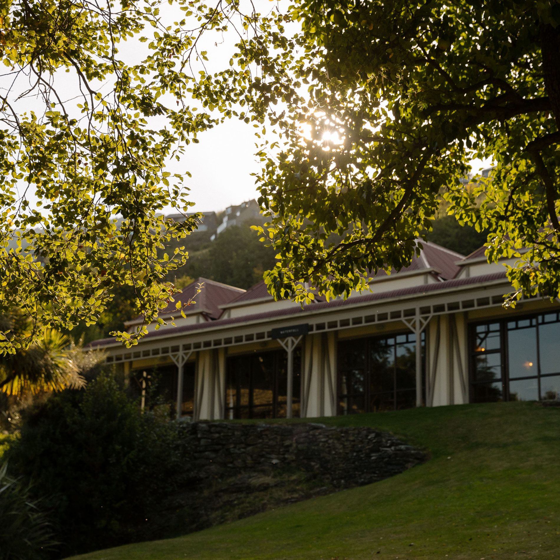 Sunlight filters through leafy tree branches above a modern building with red roofs, surrounded by a sloping green lawn.